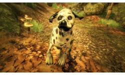 236953Nouvelle image Bitmap  3