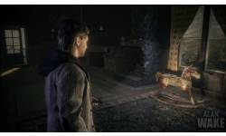 Alan Wake 2010 03 16 10 05
