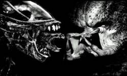 alienvspredator ico