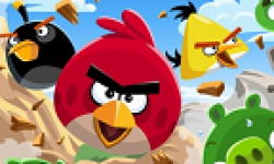 Angry Birds vignette