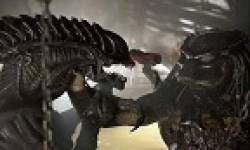 avp2