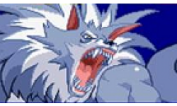 Darkstalkers vignette