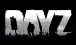 dayZ vignette