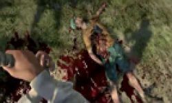 dead island vignette