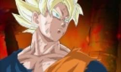 dragon ball raging blast 2 head 10