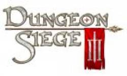 dungeon siege III head
