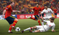 euro 2012 vignette