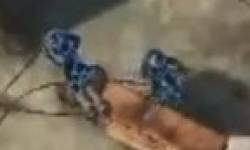 gears of war kinect vignette