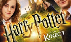 Harry Potter Kinect vignette
