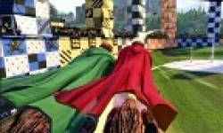 head vignette harry potter pour kinect