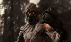 head vignette the elder scrolls v skyrim dragonborn 15 11 2012 001