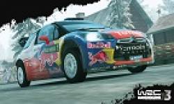head vignette wrc 3