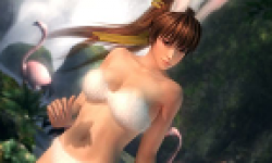 Hitomi Bunny costume