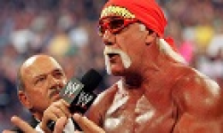 hulk hogan 02
