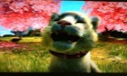 kinectimals test vignette xbox 360