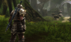 Kingdoms of Amalur Reckoning head 6