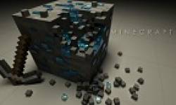 minecraft (2)