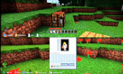 Minecraft Capture