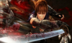 ninja gaiden 3 vignette