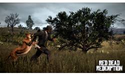 Red Dead Redemption chasse 4