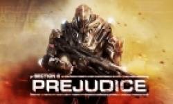 section 8 prejudice head 01