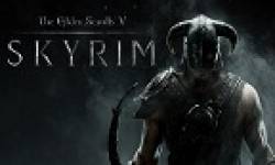 Skyrim vignette.