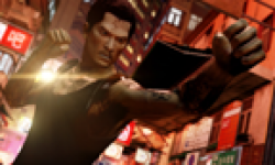 Sleeping Dogs 17 02 2012 head 4