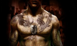 Sleeping Dogs   vignette