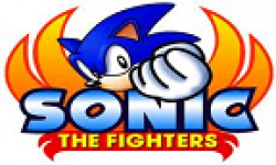 sonic the fighters vignette