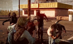 State of Decay vignette 08 06 2013 (1)