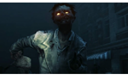 State of Decay vignette