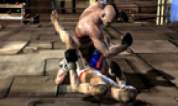 Supremacy MMA head 2 16012011