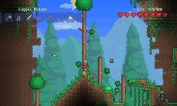 terraria image 001 24 02 2013