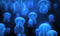 the big blue vignette