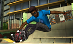 Tony Hawk Shred head 3