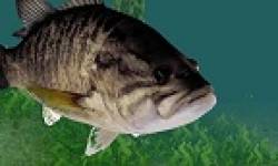 Top Angler Kinect