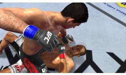 UFC Undisputed 2010 (3)