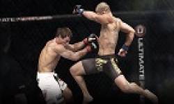 UFC vignette