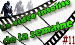 video insolite vignette n11