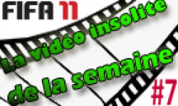 vignette 7