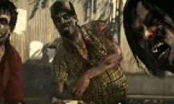 vignette head dead rising 3 12062013