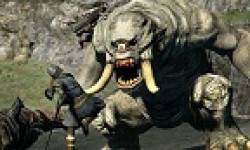 vignette head dragon dogma
