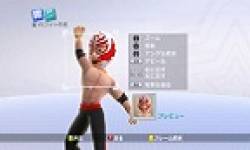 vignette head fire pro wrestling