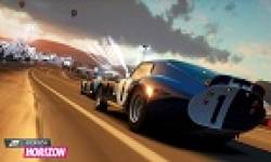 vignette head forza horizon