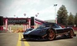vignette head forza horizon