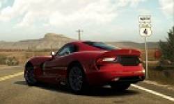 vignette head forza horizon