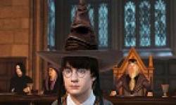 vignette head harry potter pour kinect