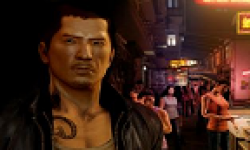 vignette head sleeping dogs 24102012