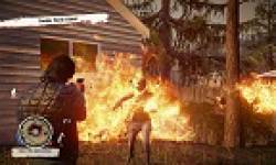 vignette head state of decay