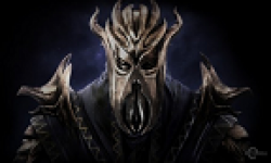 vignette head the elder scrolls v skyrim 03112012